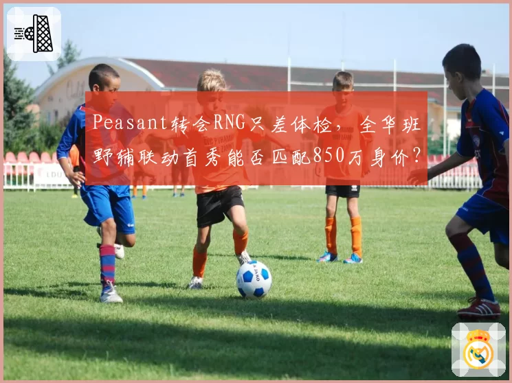 Peasant转会RNG只差体检,全华班野辅联动首秀能否匹配850万身价?