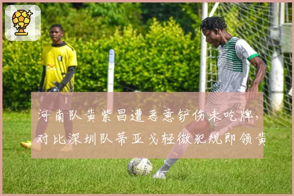 河南队黄紫昌遭恶意铲伤未吃牌，对比深圳队蒂亚戈轻微犯规即领黄牌遭球迷炮轰