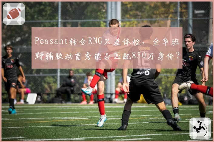 Peasant转会RNG只差体检,全华班野辅联动首秀能否匹配850万身价?