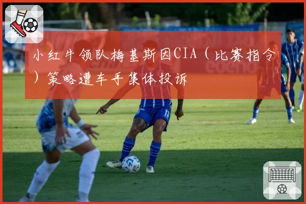 小红牛领队梅基斯因CIA（比赛指令）策略遭车手集体投诉