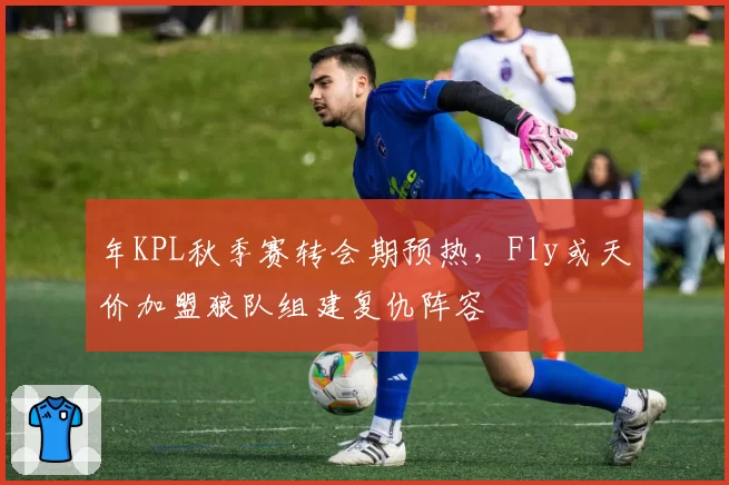 年KPL秋季赛转会期预热，Fly或天价加盟狼队组建复仇阵容