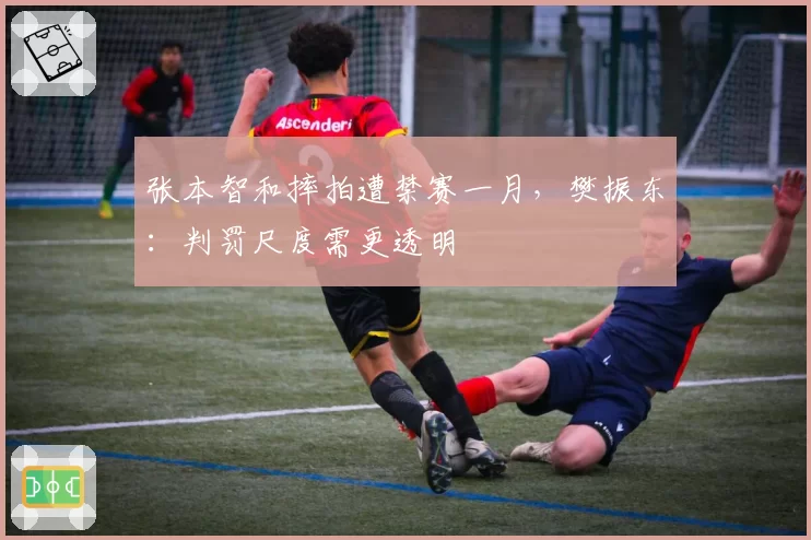 张本智和摔拍遭禁赛一月，樊振东：判罚尺度需更透明