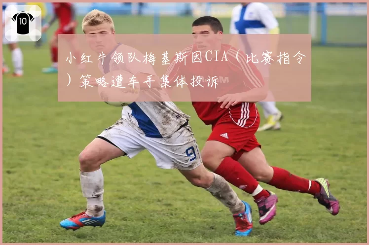 小红牛领队梅基斯因CIA（比赛指令）策略遭车手集体投诉