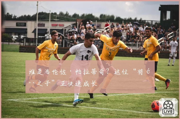 谁是洛伦佐·帕拉蒂奇？这位“将门之子”正快速成长